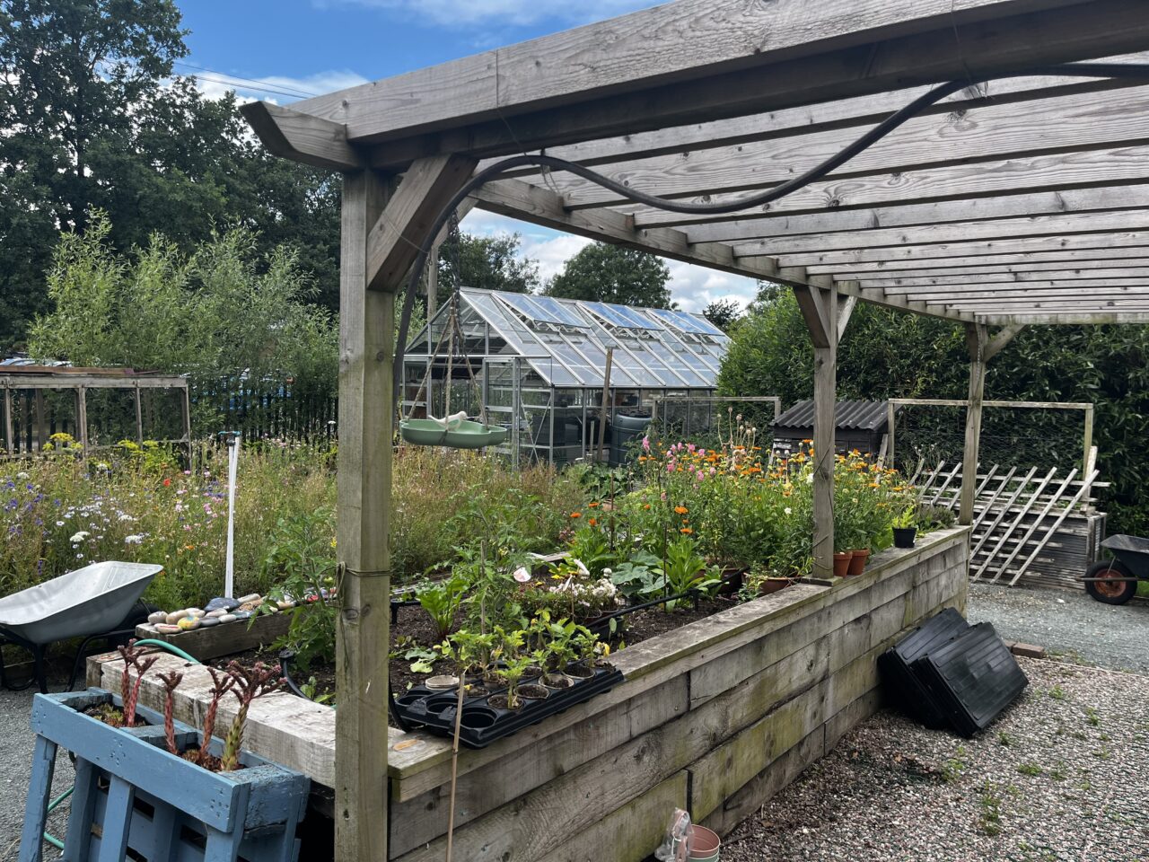 Volunteer Gardener